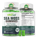 Sugar-Free Sea Moss Gummies 5000mg Extra Strength Irish Moss Gel Supplement with Iodine Chlorophyll Unfiltered ACV D3 Burdock Root Bladderwrack for Immune Digestive Joint SkinVegan 120 Chews